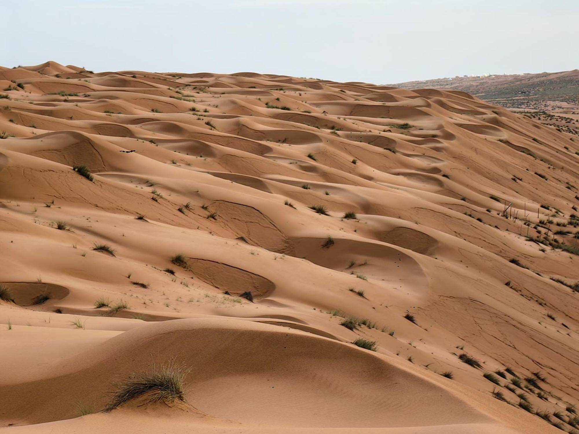 Badīyah Desert Rose Camp מראה חיצוני תמונה